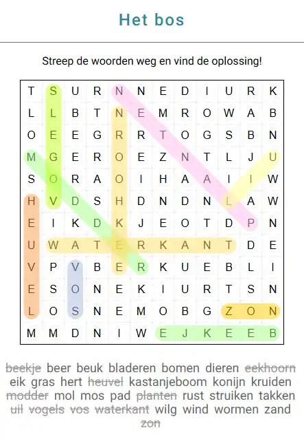 Woordzoeker online oplossen